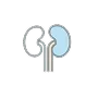 Urinary system disorders